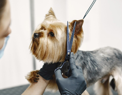 장자강 화슈 미용 도구 유한회사